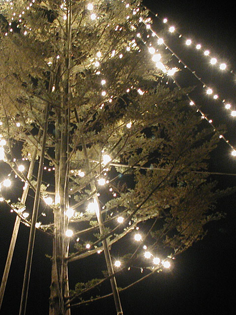 絵暦鳥句パレード