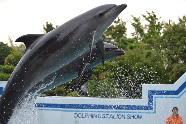 ウォーターミーティング