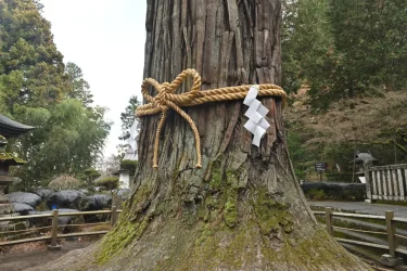 ニューイヤーツーリング2024（後編・北口本宮冨士浅間神社）