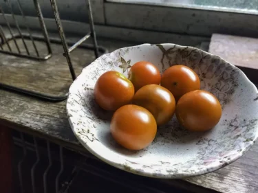 そして収穫へ